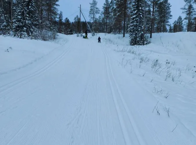 Namsskogan Familiepark &