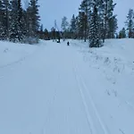 Namsskogan Familiepark &